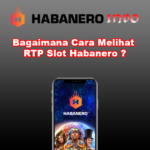 Bagaimana Cara Melihat RTP Slot Habanero ?