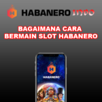 Bagaimana Cara Bermain Slot Habanero ?