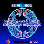 Panduan Lengkap Bermain Slot Habanero untuk Pemula