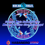Saatnya Main Habanero & Menang di Situs Slot Kocaktogel