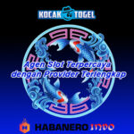 KOCAKTOGEL Agen Slot Terpercaya dengan Provider Terlengkap